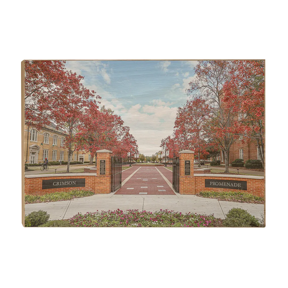 Alabama Crimson Tide - Crimson Promenade