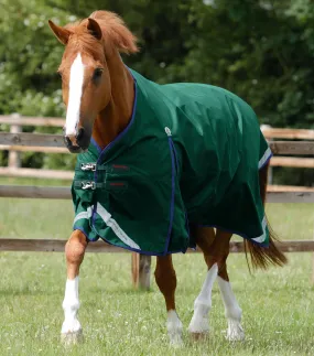 Buster Zero Original Turnout Rug Green