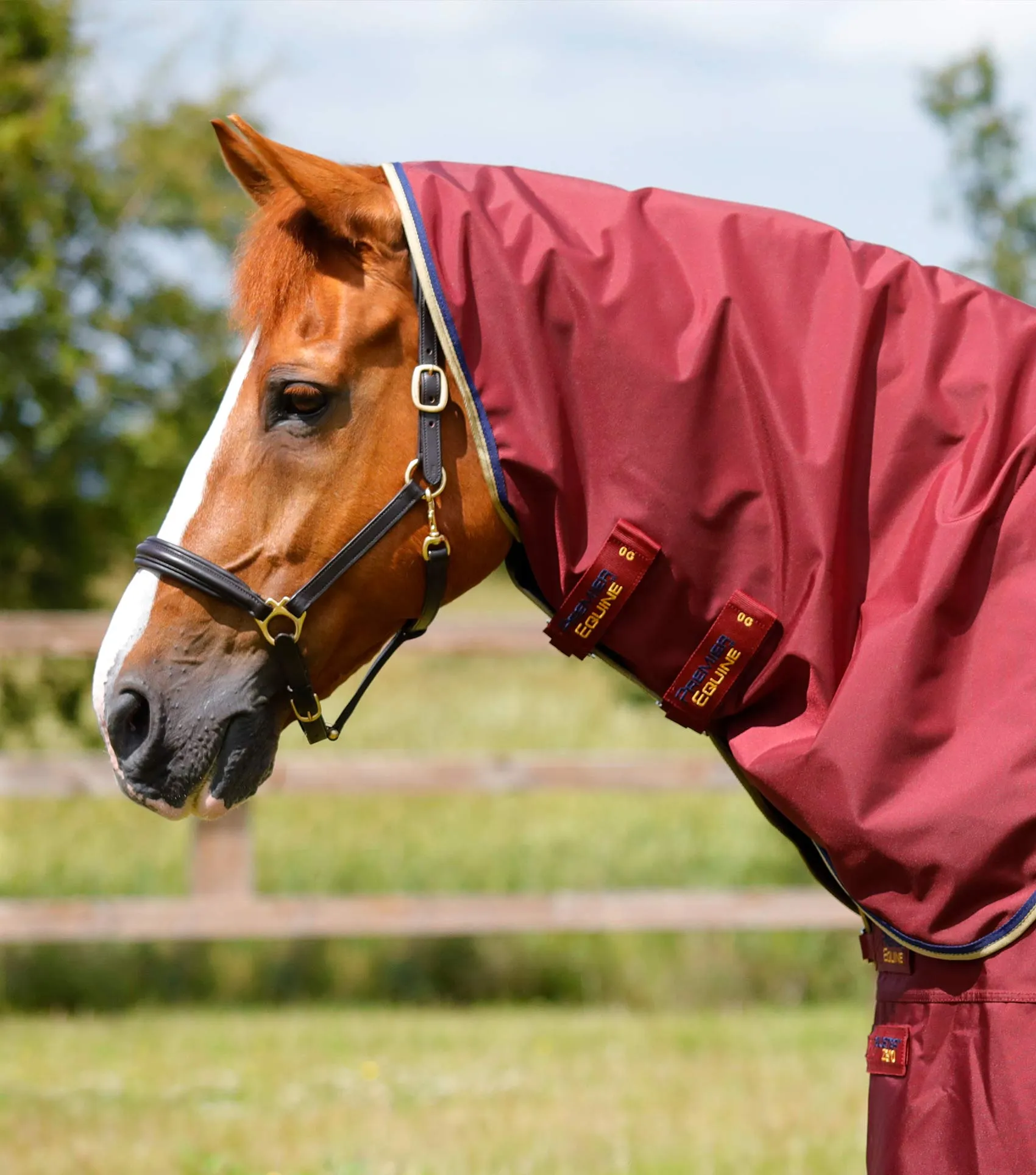 Buster Zero Turnout Rug with Classic Neck Cover Burgundy