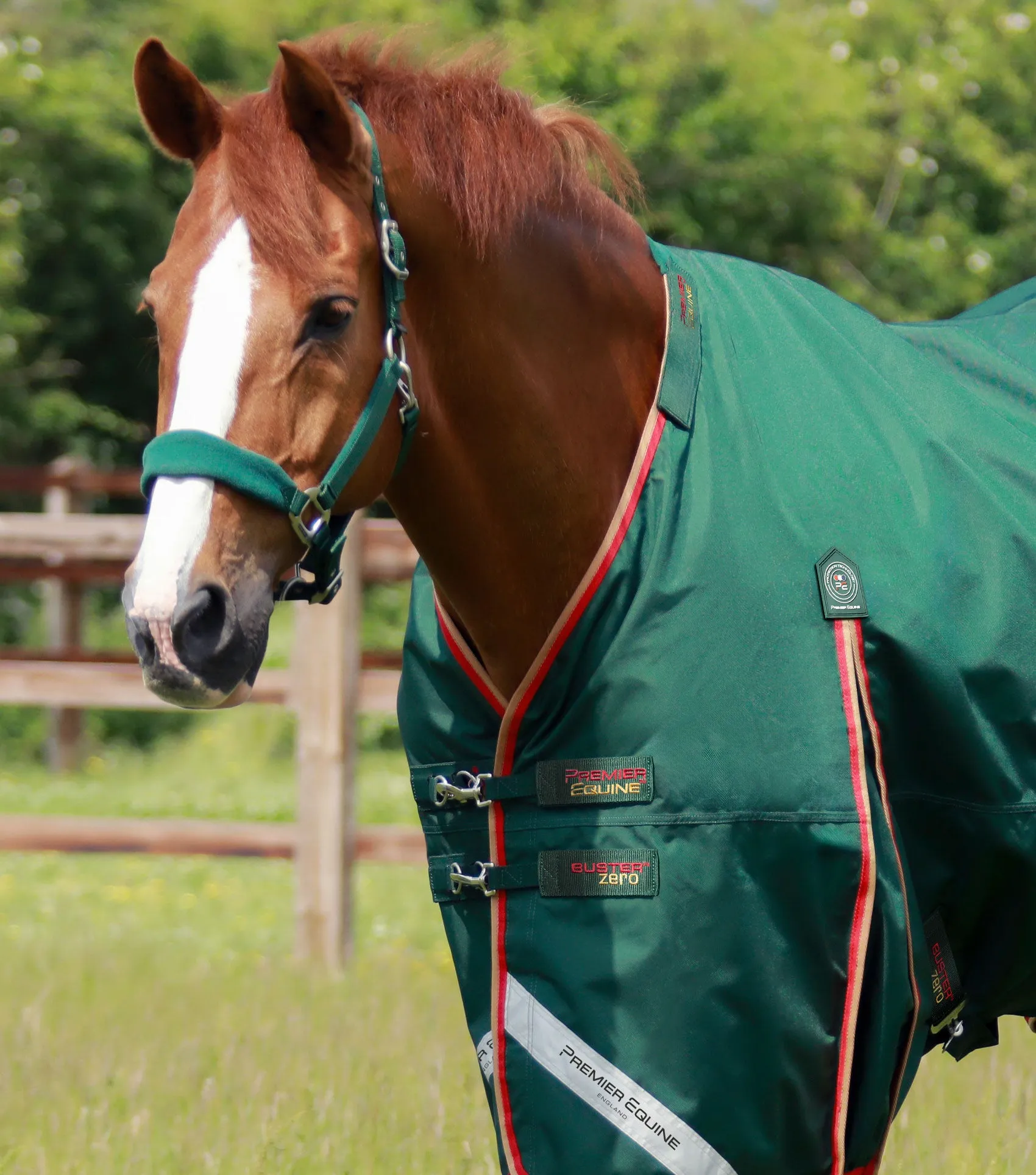 Buster Zero Turnout Rug with Classic Neck Cover Green