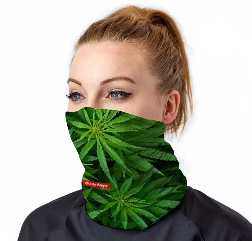 Cannabis Leaves Neck Gaiter