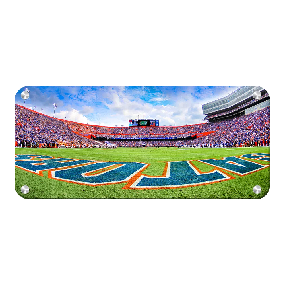 Florida Gators - The Swamp Panoramic