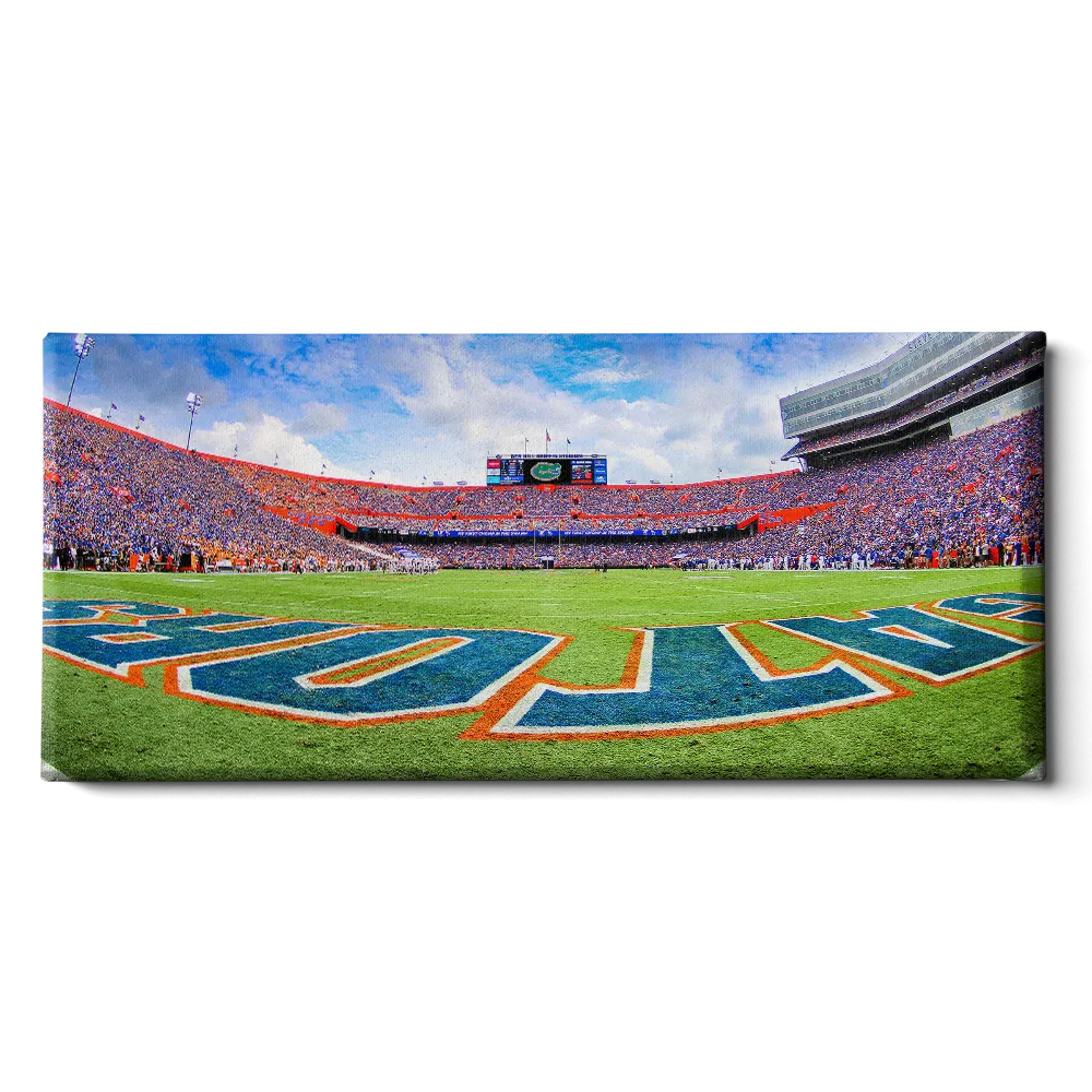 Florida Gators - The Swamp Panoramic