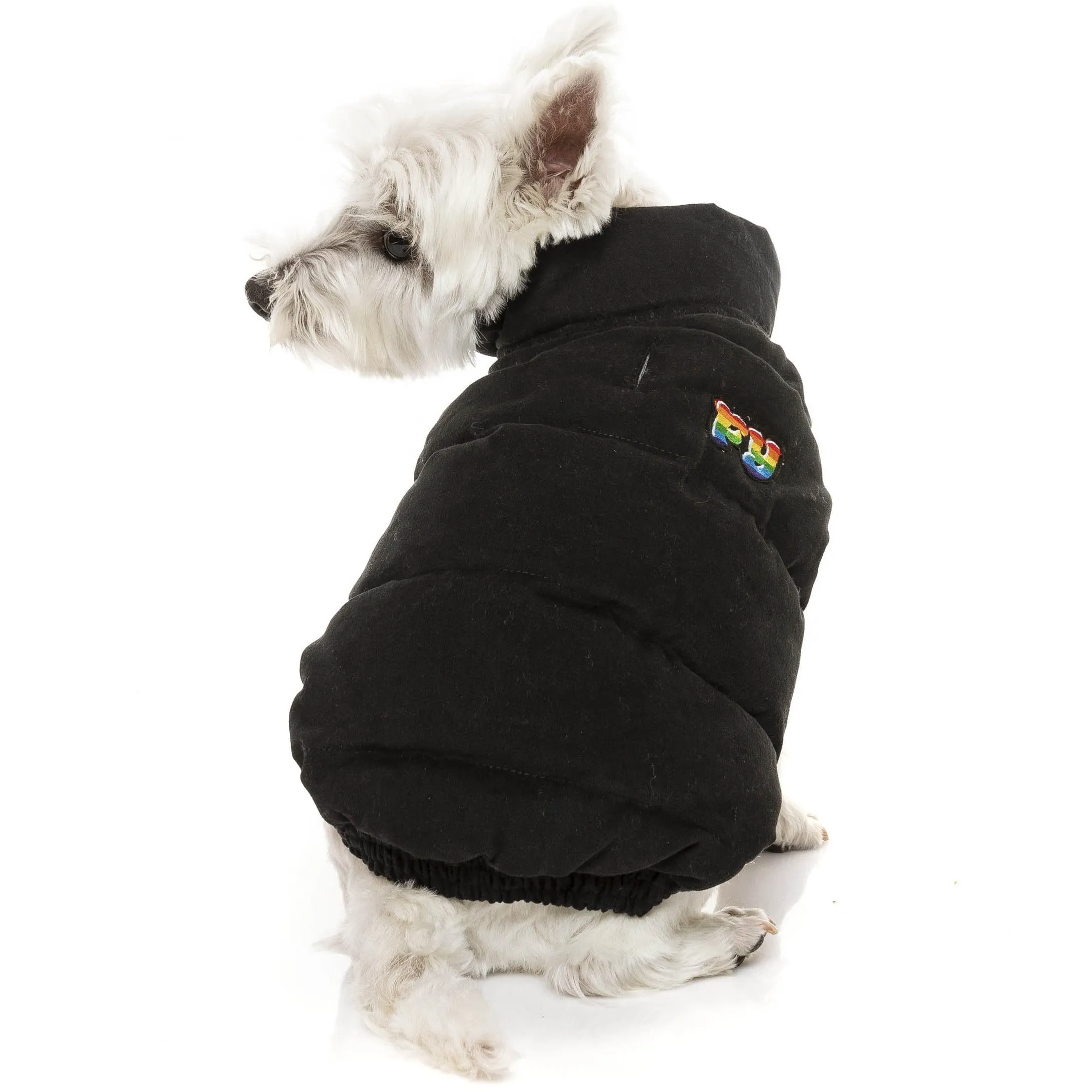 FuzzYard Ashbury Dog Jacket / Dog Coat - Black